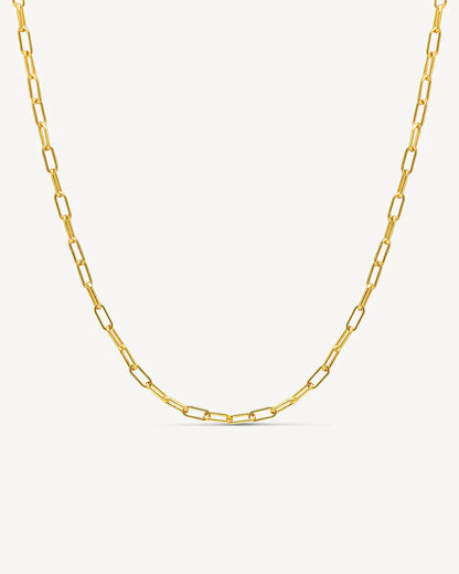 Deltora™ Classic Bold Chain Necklace
