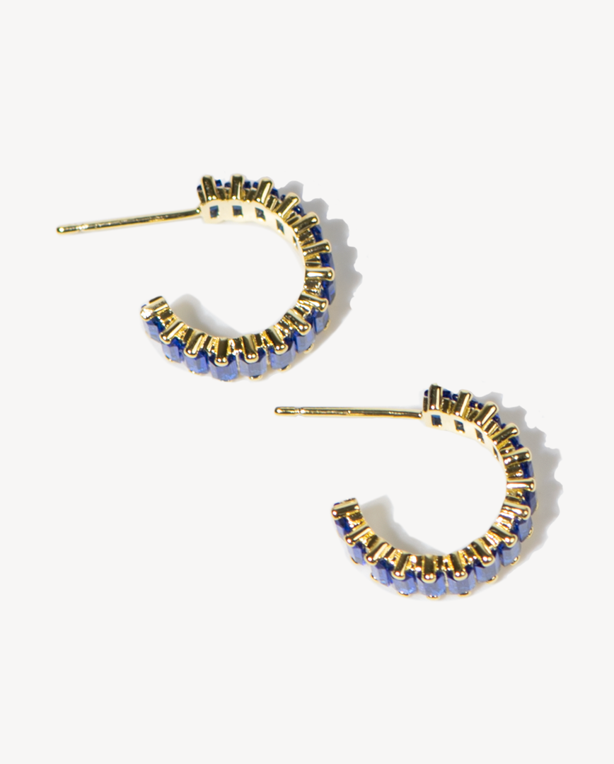 Iconic Havana Gold Earrings – Deltora