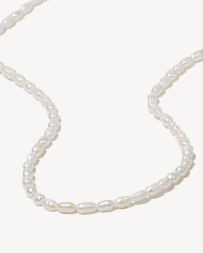 Iconic Rio 18k Gold Vermeil Necklace in Pearl - Deltora